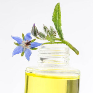 borage oil